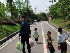 -枫香湖儿童公园