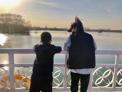 -大兴滨河森林公园