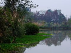 -桤木河湿地公园