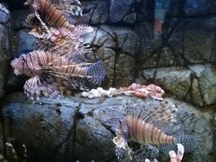 -成都浩海立方海洋公园