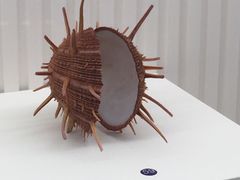 -青岛贝壳博物馆