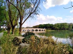 -昆山城市生态森林公园