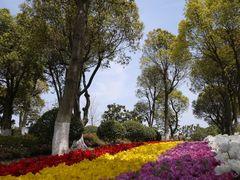 -上海鲜花港