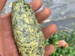 -卧龙中华大熊猫苑神树坪基地