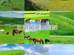 -新疆那拉提国家旅游度假区