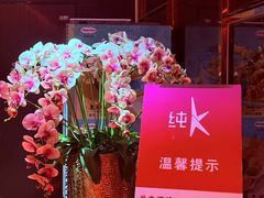 -纯K(打浦桥店)