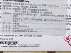 -北京观赏动物医院·24小时大型综合·猫专科·异宠专科