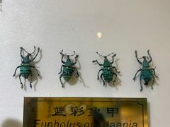 -上海昆虫博物馆