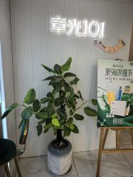 -章光101防脱养发荟