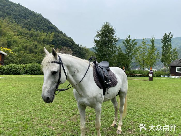 梦娜斯庄园图片