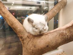 -龙猫仔乐园(惠福东路店)