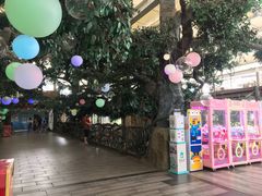 -杭州浪浪浪水公园