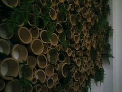 -麦子MaiMassage(打浦桥店)