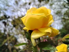 -人民公园(罗湖区)