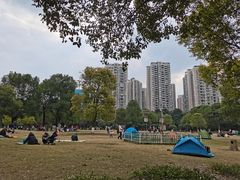 -重庆彩云湖湿地公园