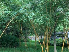 -火炉山森林公园
