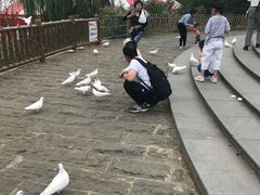 -无锡动物园·太湖欢乐园