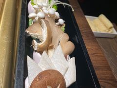 -九鼎轩脆毛肚火锅(三钢里店)