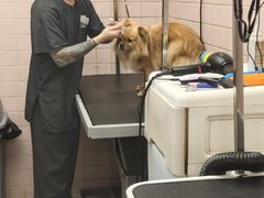 -FAELING PETS美天灵宠物(富力广场店)