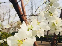-国家图书馆·古籍馆