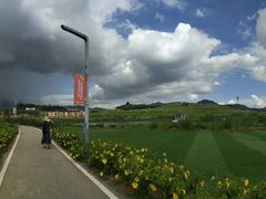 -光明小镇欢乐田园