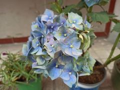 -共青国家森林公园-售票处