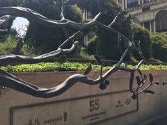 -伯衡55·吉品轩(乌鲁木齐南路店)