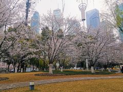 -西北湖绿化广场