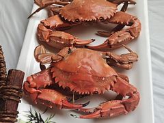 -宾朋海鲜饭庄(兴海路店)