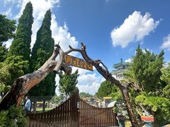 -淄博聊斋城景区