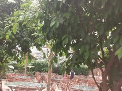 -金稼园·金平湖农家菜