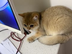 -佳雯宠物医院·皮肤科·内外科(春晓路分院)