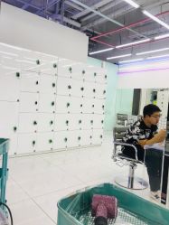 -P.STYLE 派斯造型