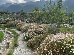 -猫米花园