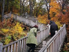 -帽儿山国家森林公园