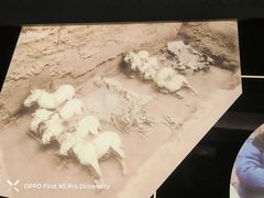 -秦始皇帝陵博物院-丽山园