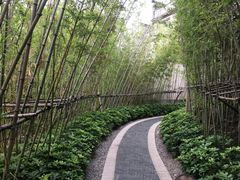 -紫马岭公园