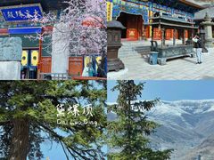 -五台山风景名胜区