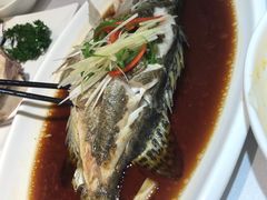 -老人和饭店(淮海中路店)