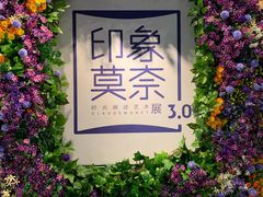 -印象莫奈时光映迹艺术展