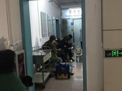 -北京观赏动物医院·24小时大型综合·猫专科·异宠专科