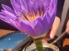-金牌泰香米(重庆万象城店)