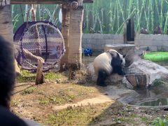 -南昌动物园