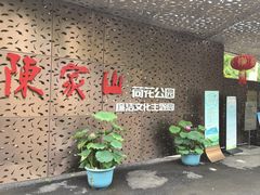 -陈家山荷花公园