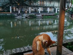 -喜洲吧·江畔老船厂·庭院餐厅(喜临院店)