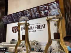 -喜马拉雅森HIMALAYAN FOREST