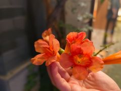 -東茅街茶馆