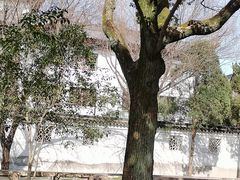 -西园戒幢律寺