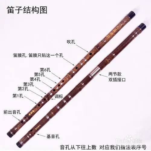 笛子构造图