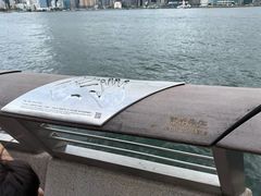 -星光大道